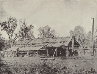 A Primitive Shearing-Shed