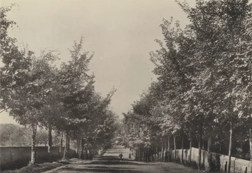Aldeburgh, Westfields Avenue