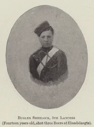 Bugler Sherlock, 5th Lancers