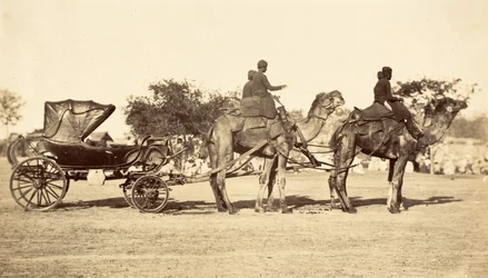 Camel Carriage, c.1860