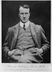 Edward A. Wilson