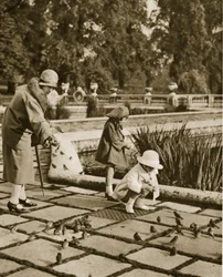 Feeding Sparrows in Hyde Park