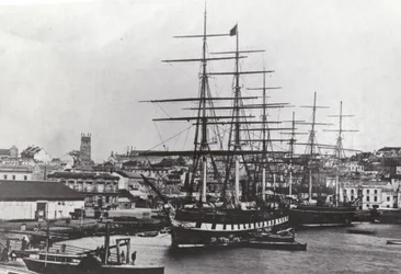 Great Victoria