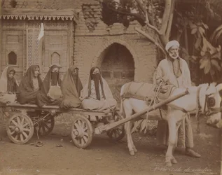 Horse-Drawn Cart, Cairo, 1893