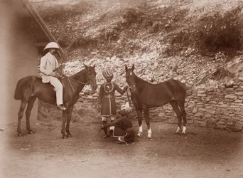 Horses at Simla, Queen Mab and Gladys