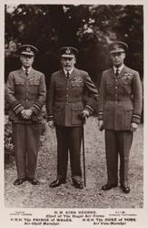 King George V, the Prince of Wales and the Duke of York in Air Force Uniform