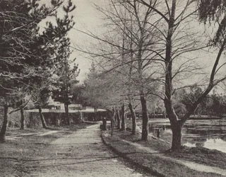 Lake Wendourie in Winter