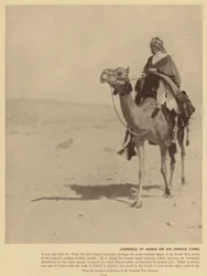 Lawrence of Arabia on His Famous Camel