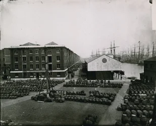 London Docks