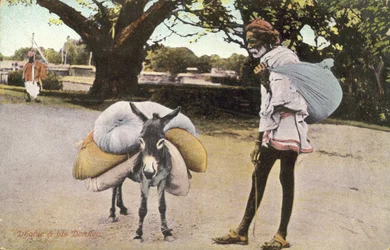 Man and his donkey