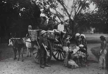 Mr G P Owen and a Singapore Tiger