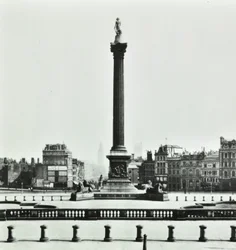 Nelson