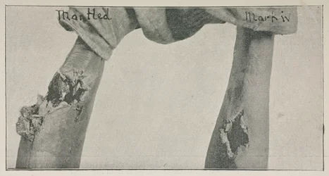 Photograph from the essay 