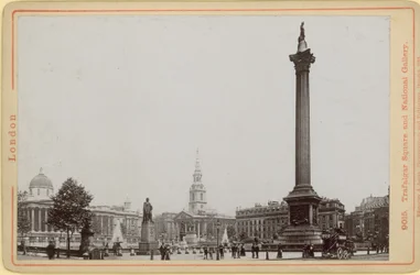 Image of Nelson