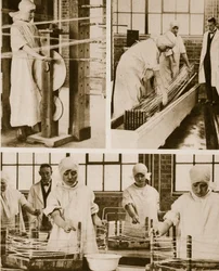 Preparing Cat-Gut at the London Hospitals own factory
