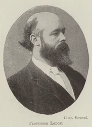 Professor Lodge