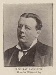 Professor Ray Lankester