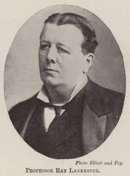Professor Ray Lankester