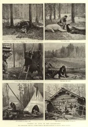 Scenes of Life in the Backwoods