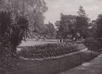 Sub-Tropical Gardens, Battersea Park