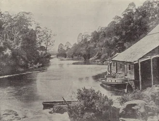 Supply River, Tasmania