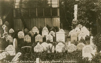 The Dogs Cemetery, Hyde Park, London