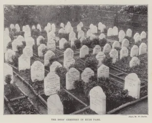 The Dogs Cemetery in Hyde Park