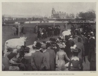 The Dublin Cattle Show, the Parade of Prize-Winners before the Duke of York