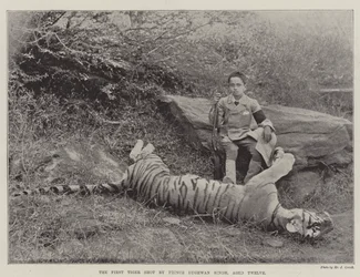The First Tiger shot by Prince Bughwan Singh, Aged Twelve