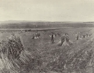 The Green Hills Farm