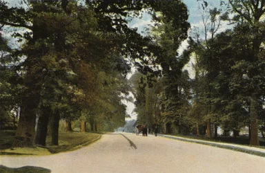 The Long Avenue, Coventry