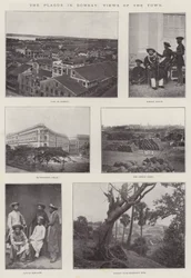 The Plague in Bombay, Views of the Town