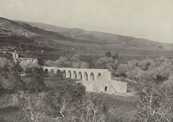 The Valley of Shechem