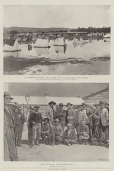 The War in the Transvaal