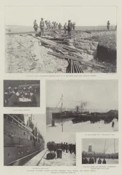 The War in the Transvaal