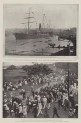 The War in the Transvaal