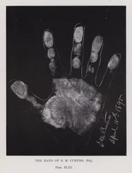 The hand of E M Curtiss