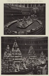 Truth Toy Show at the Royal Albert Hall