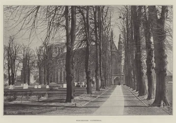 Winchester Cathedral