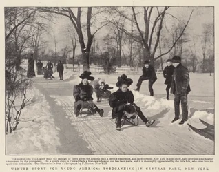 Winter Sport for Young America, Tobogganing in Central Park, New York