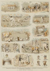 A Farm House Holiday