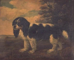 A King Charles Spaniel in a Landscape