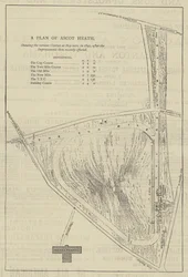 A Plan of Ascot Heath