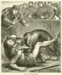 A Remarkable Trial by Battle