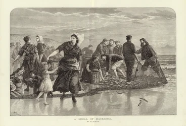 A Shoal of Mackerel