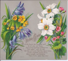 A Victorian Birthday Card with sprays of daffodils and bluebells