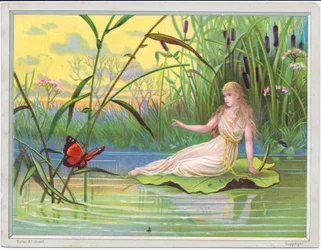 A Victorian Greeting Card of a Fairy Reclining on a Lotus Lily Leaf Looking at a Butterfly Against a Background of Bullrushes, c.1880