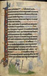 A blemmyae, foot of folio from 