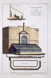 A Hot House for the Duke of Bedford at Woburn Abbey, 1806