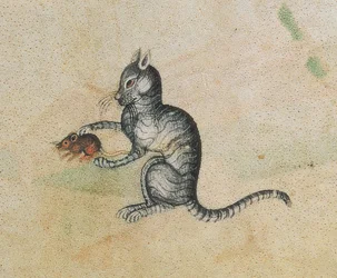 A domestic cat playing with a mouse, from the Luttrell Psalter (detail)